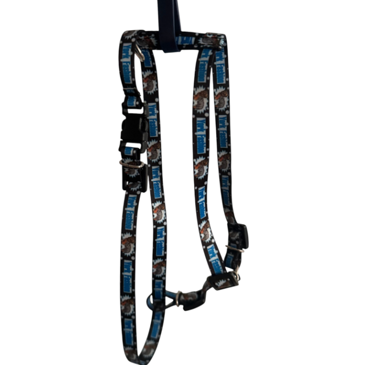 „York Fashion“ petnešos Jorkšyro terjerui – juodos, 40 cm